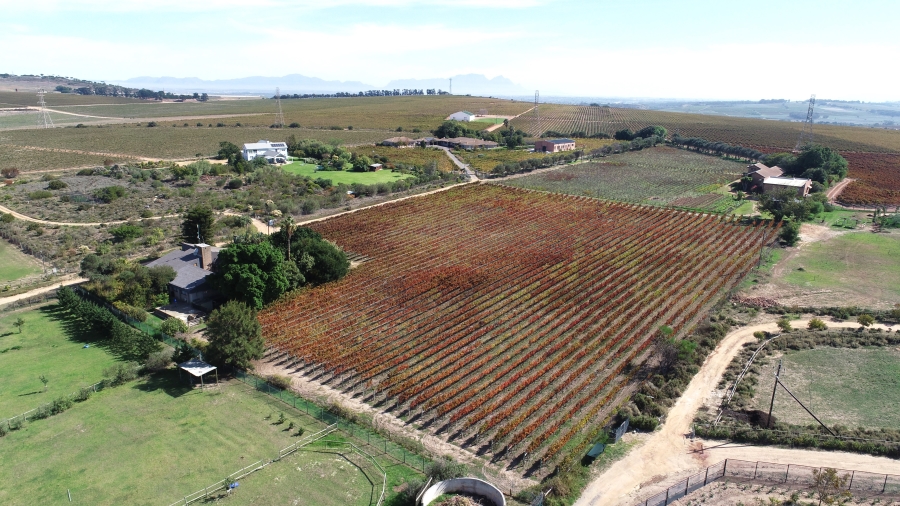 3 Bedroom Property for Sale in Stellenbosch Farms Western Cape